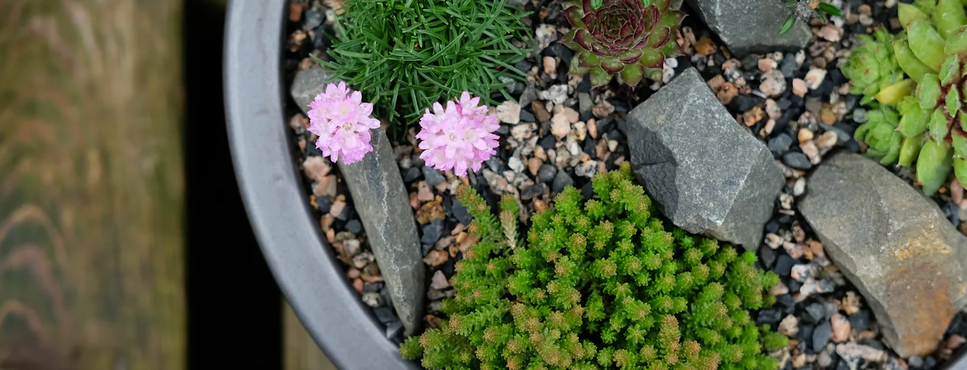 Workshops Workshops at Cowell's